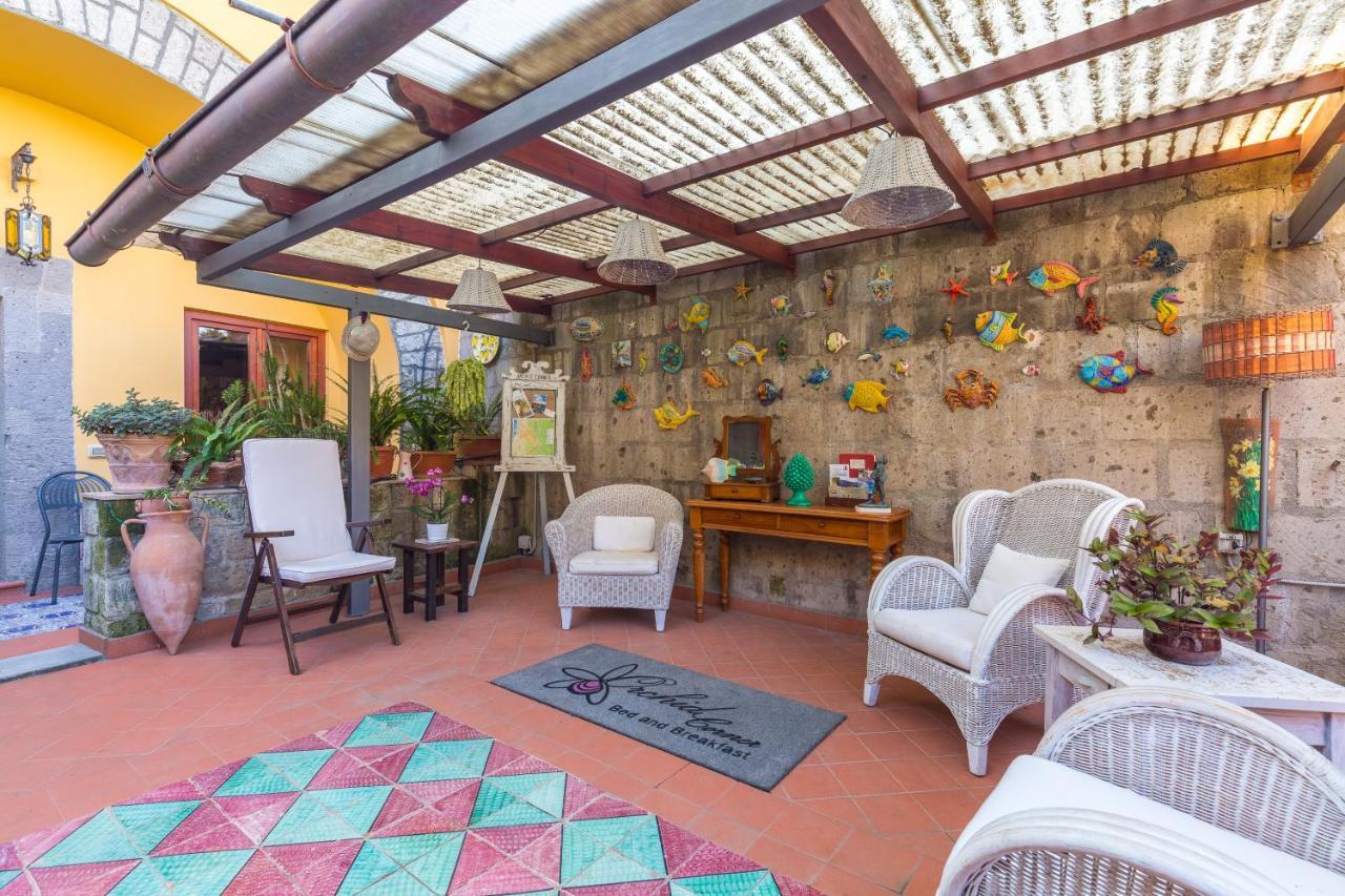 Orchid Corner Guesthouse Мета Экстерьер фото